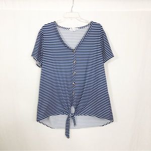 C’est La Vie V-Neck Short Sleeve Top, Size 1X, Blue White Stripes